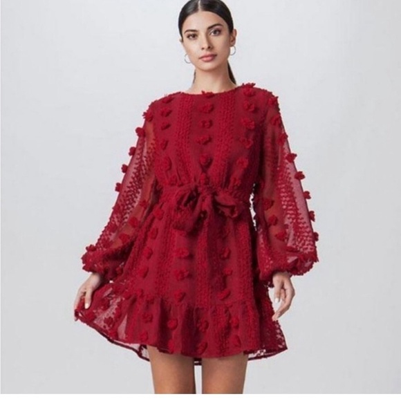 Flying Tomato Dresses & Skirts - A Calin by Flying Tomato Pompom Dress. Size Medium. Long sleeve. Red